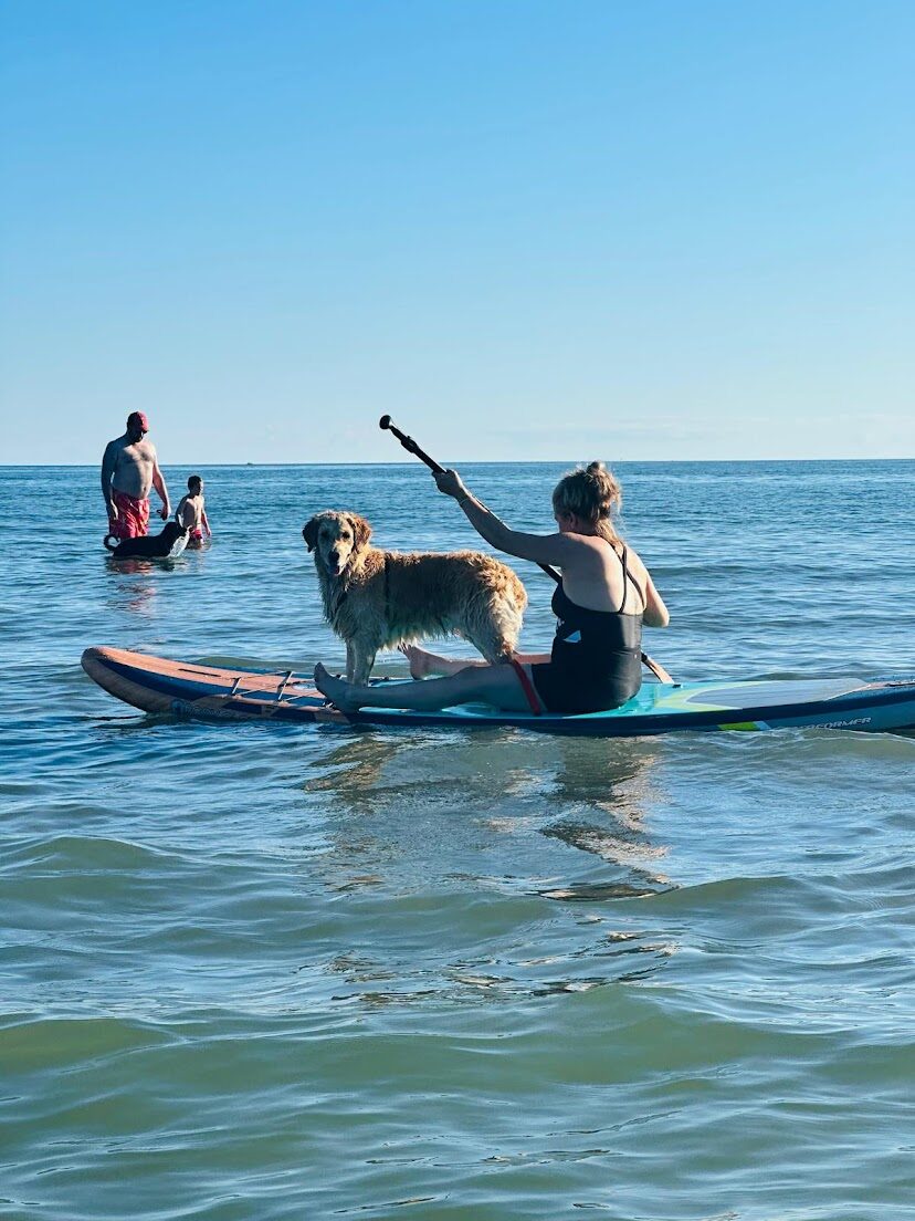 At the Dog Beach.